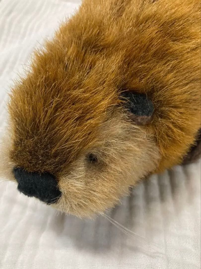 【激レア】SUPER BEAVER スーパービーバー　吉徳　ぬいぐるみ