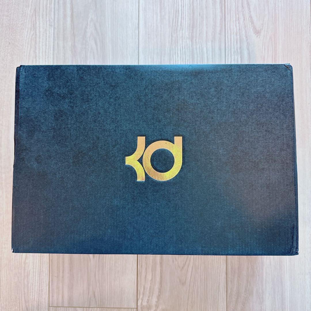 NIKE ZOOM KD IV Desert Orange【29cm】