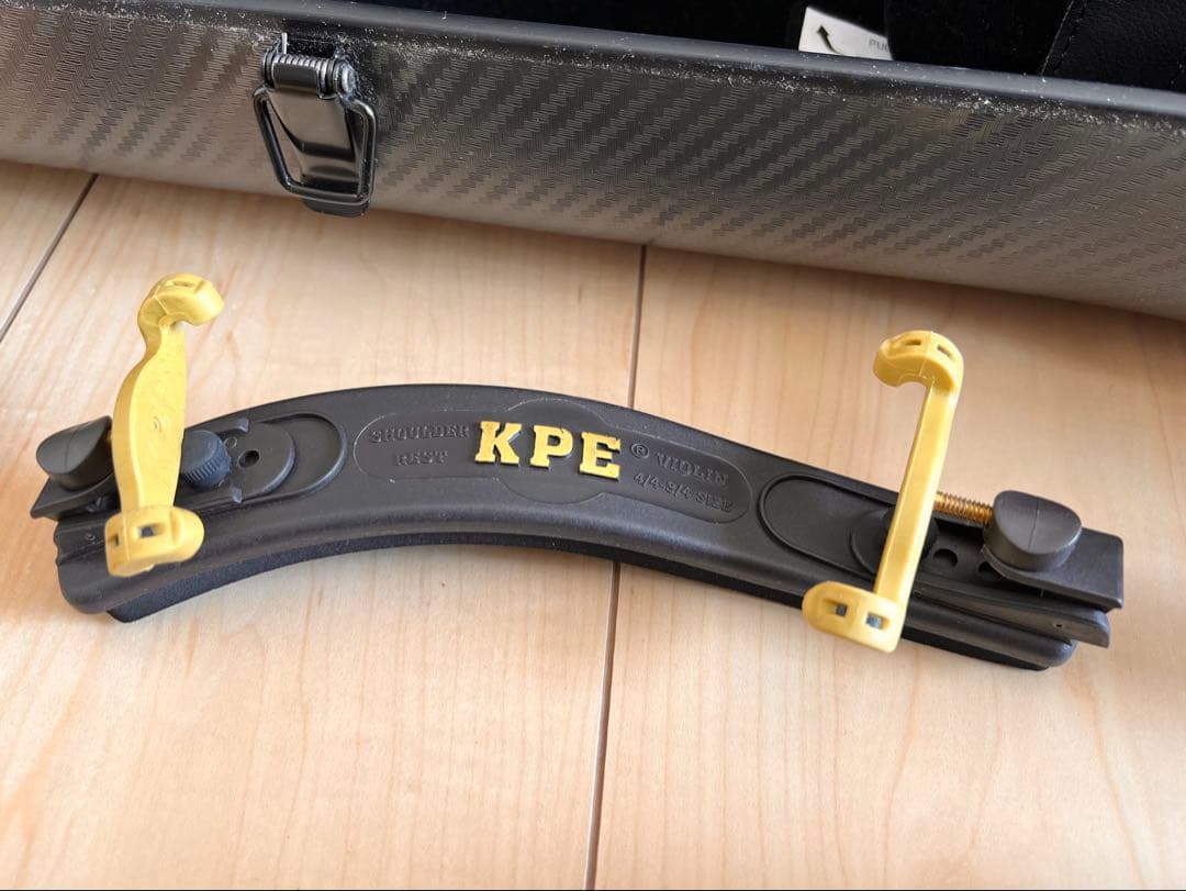 Pyroviolin 4/4バイオリン本体Gewaケース付き