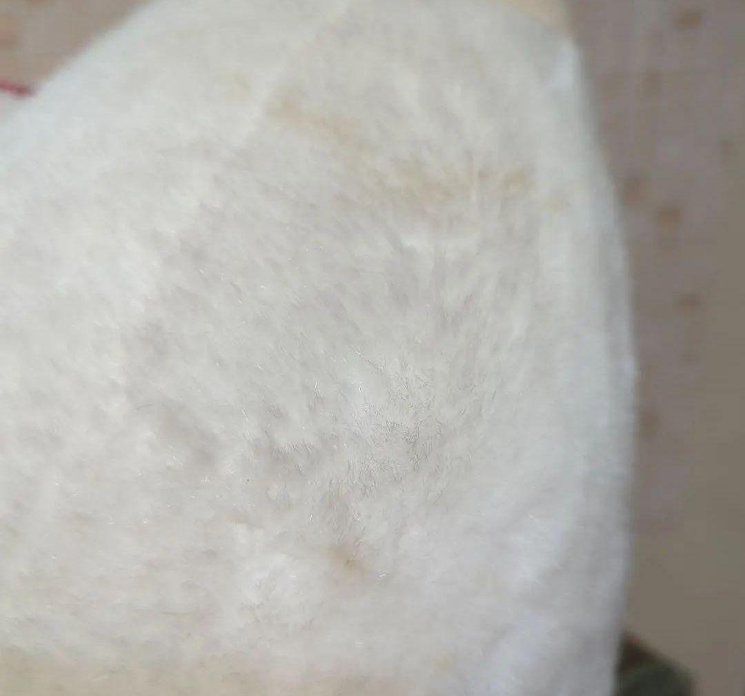 #白くてかわいいもの・heart&heart 豚のぬいぐるみ ナカジマ昭和レトロ