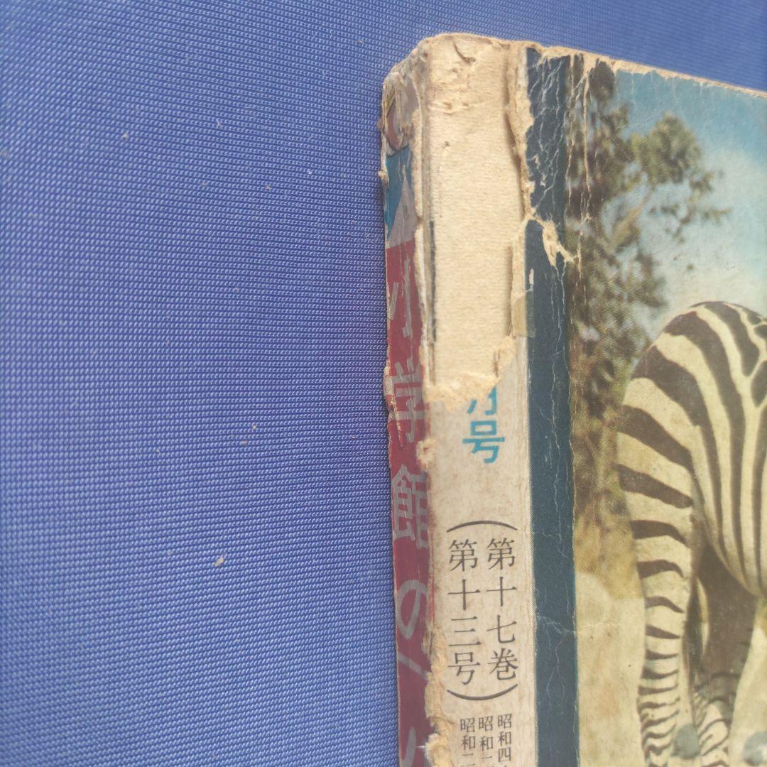 超希少　昭和レトロ　『幼稚園』　小学館　昭和40年3月