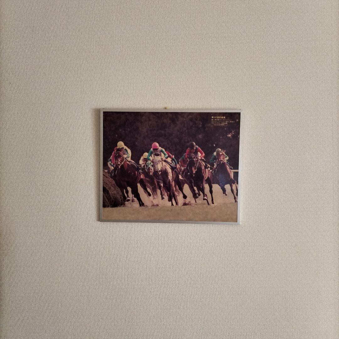 競馬パネル　天皇賞 春　ライスシャワー メジロマックイーン メジロパーマー