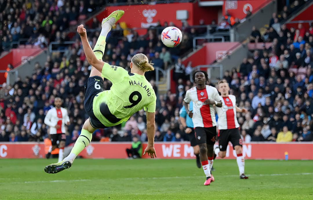 LeLis A3サイズポスター③セット