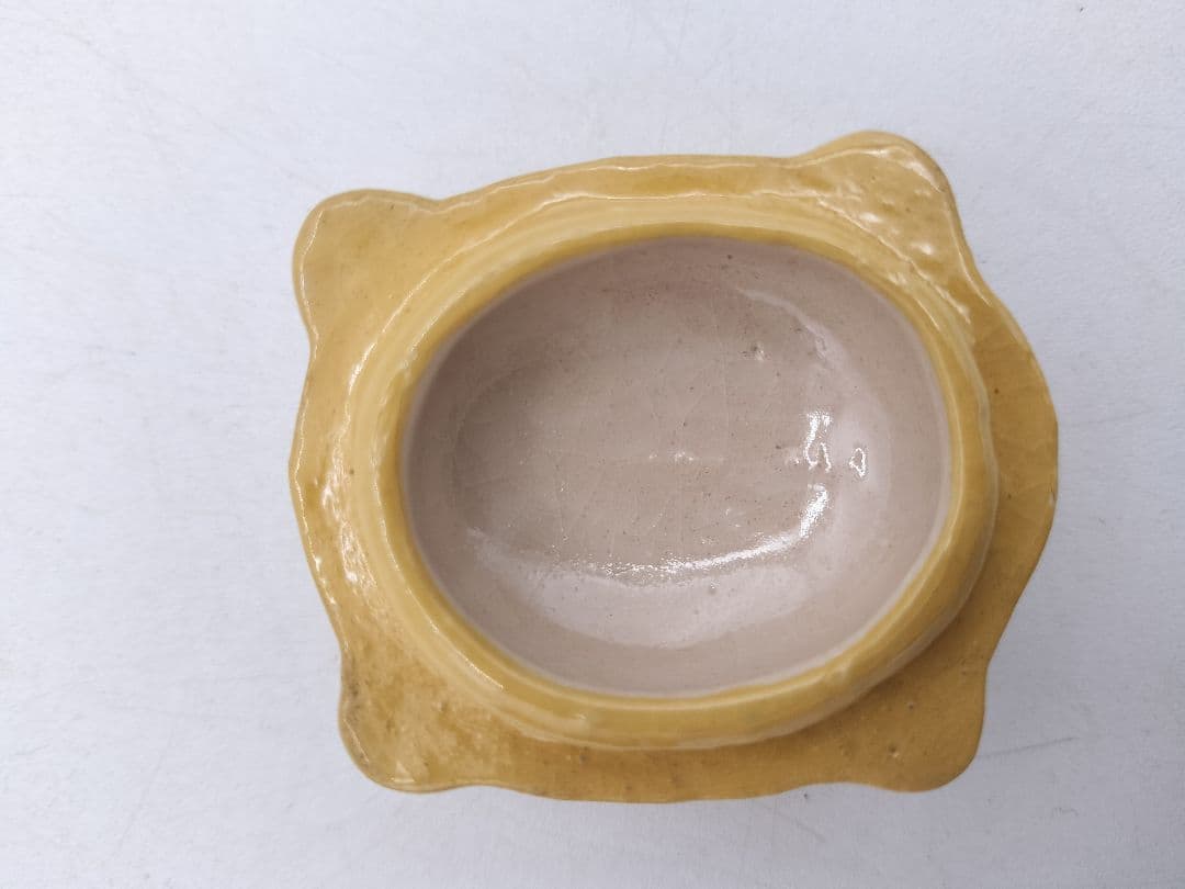 c769 【新品・未使用】香合 亀 伊東桂楽 木箱 茶道具