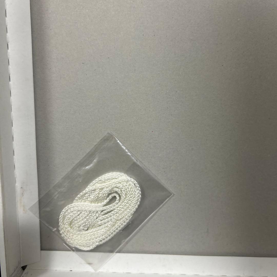 ローゼンメイデン トロイメント 「真紅、水銀燈」 プリントサイン入り 複製原画