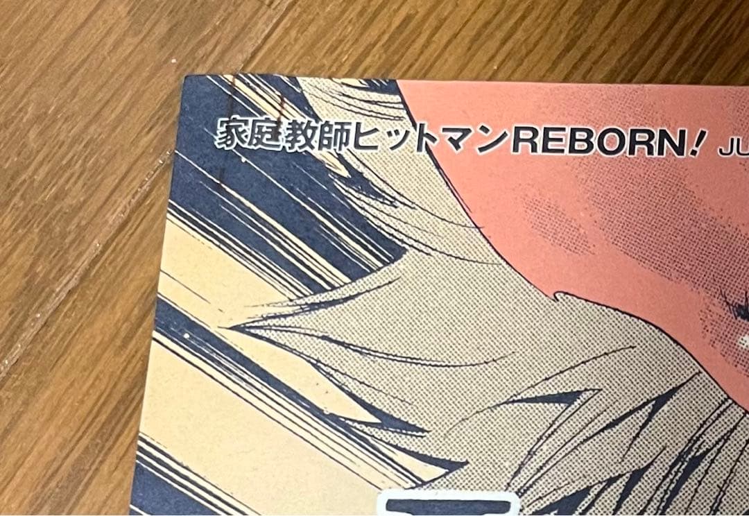 家庭教師ヒットマンREBORN 名場面ポスター　3枚セット