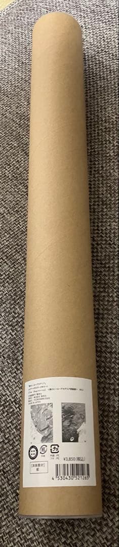 ヒロアカ原画展 アートポスター The Beginning2枚セット