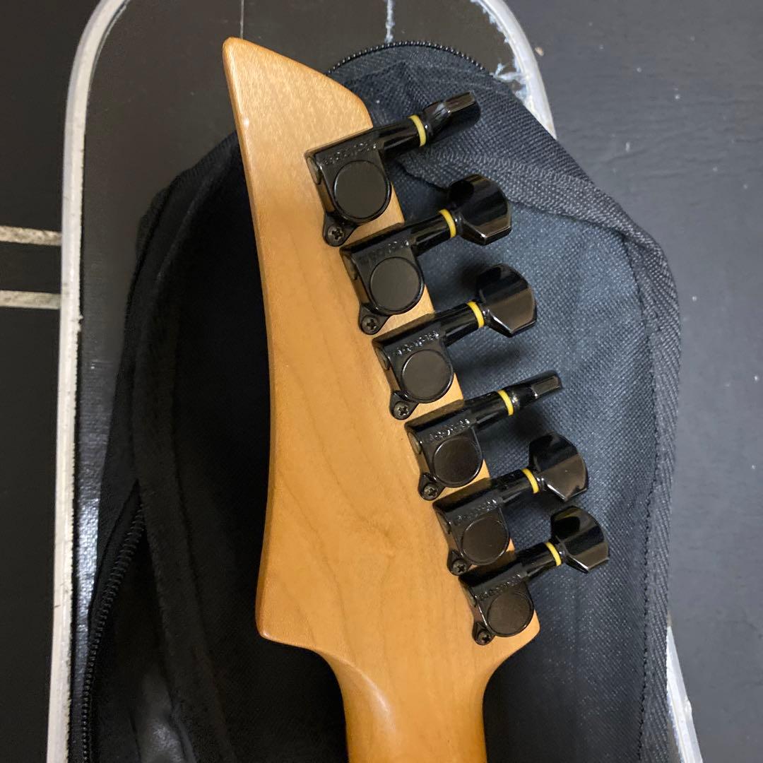 FERNANDES FGZ400 トレモロアーム・ケース付