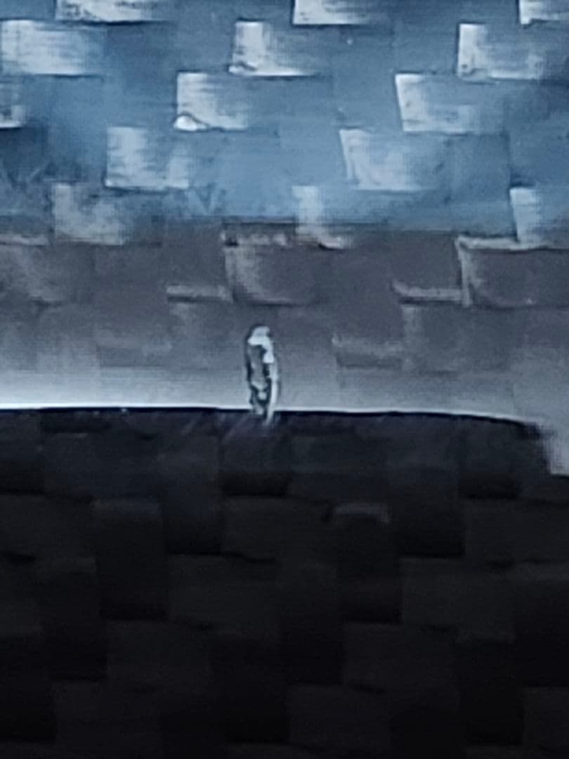 ロデオクラフト　ホワイトウルフ　606L-e　25th Anniversary