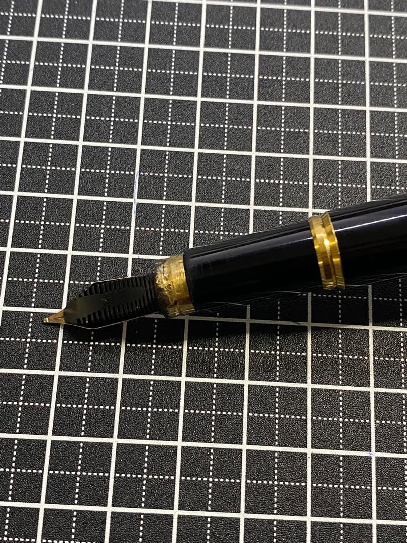 WATERMAN LE・MAN 100 万年筆　字幅F程度