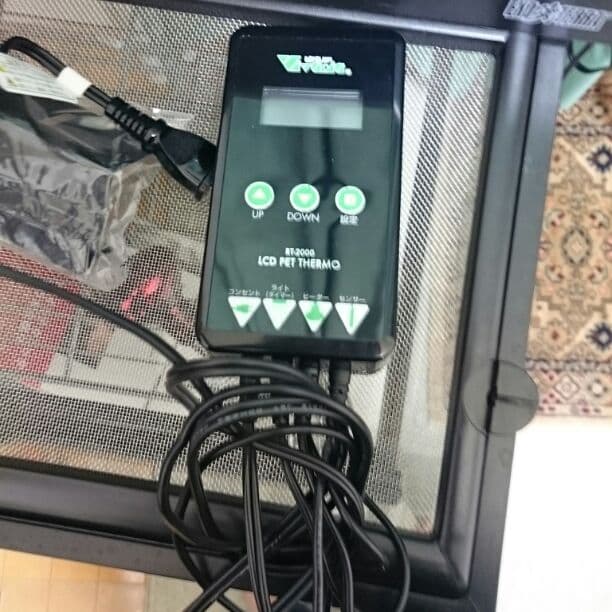 【英二さん専用】リクガメの飼育セット