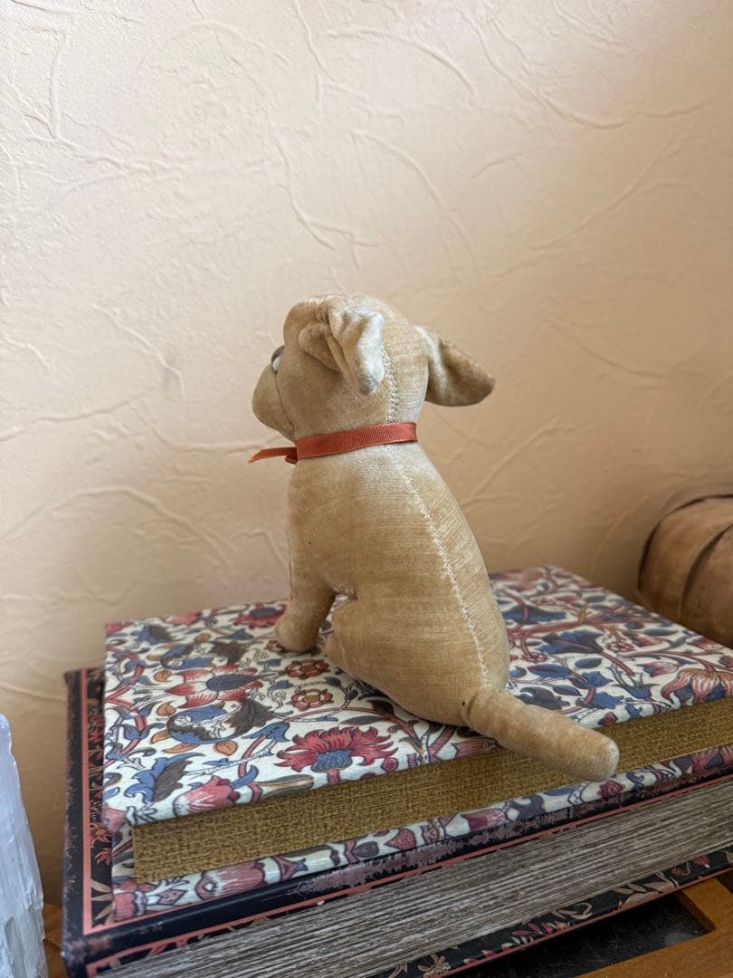 アンティーク　ドッグ　犬　テディベア　フランスアンティーク