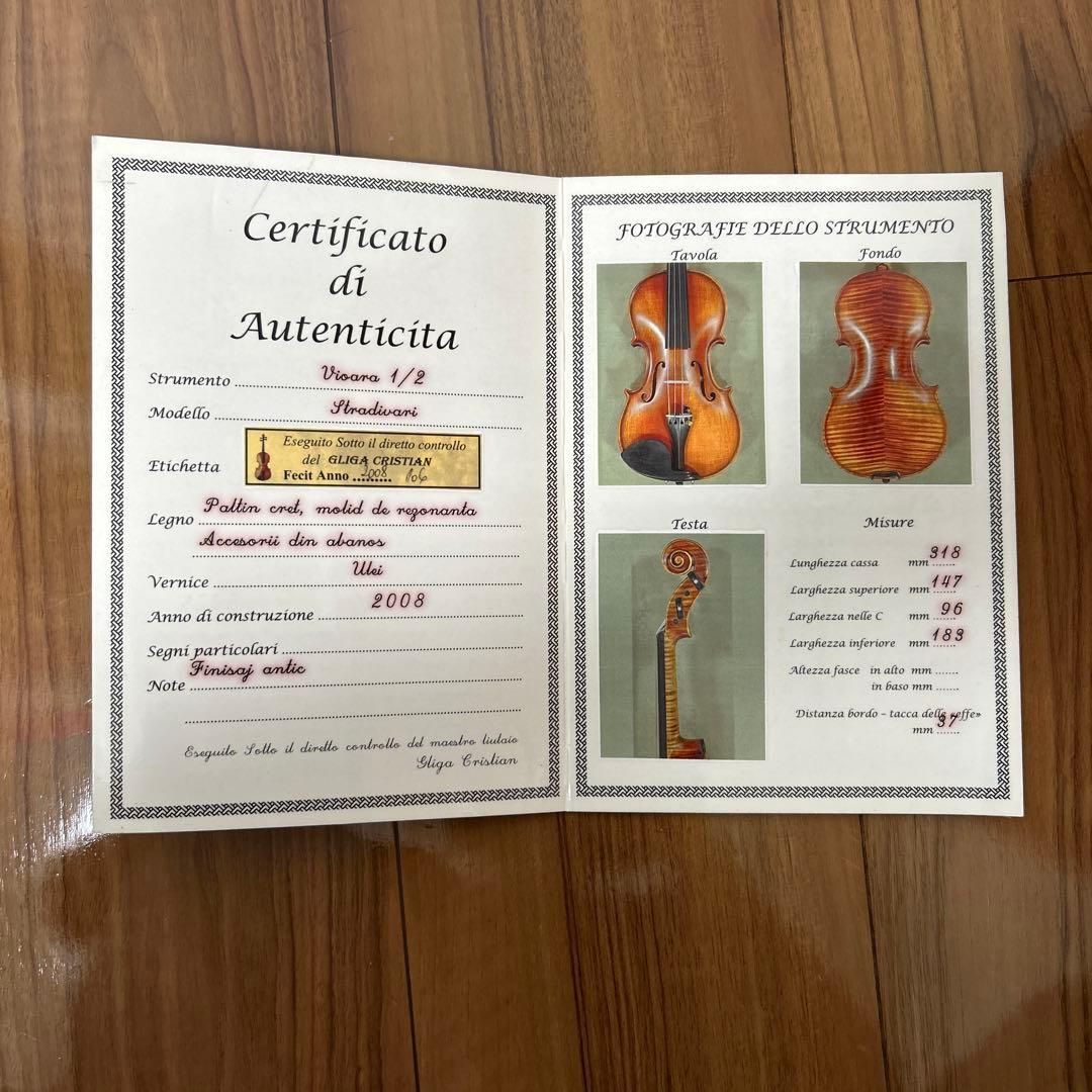 Gliga GAMA super バイオリン 1/2