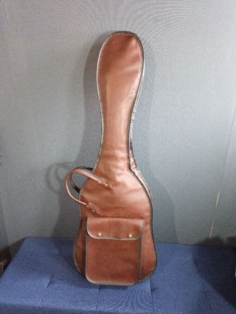 Rz FERNANDES リミテッドエディション テレキャスタータイプ