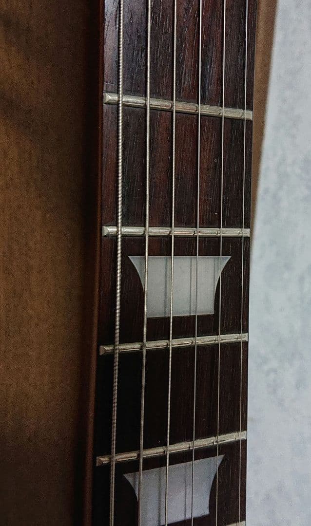 アクリル レスポールタイプ スケルトン シースルー エレキギター