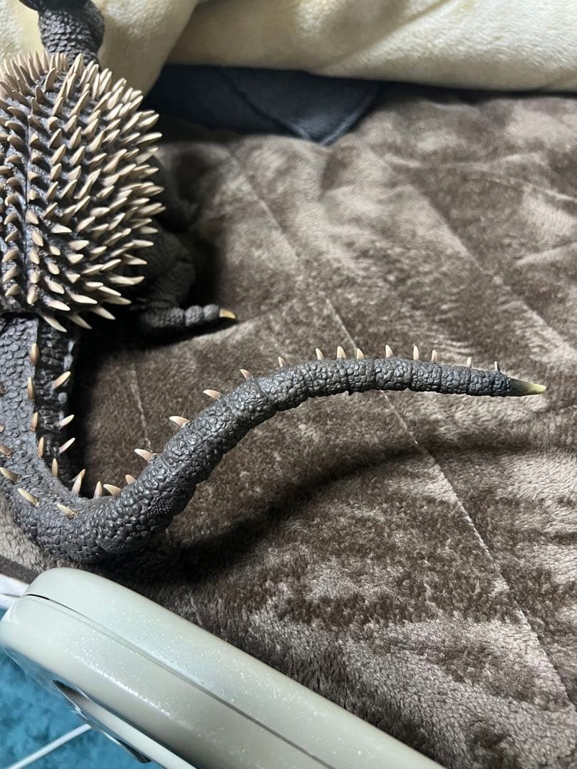 東宝30cmシリーズ　東宝大怪獣シリーズ　エクスプラスアンギラス